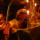 DSCN4230sq